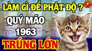 CẢNH BÁO QUÝ MÃO 1963 Làm gì để được phật độ Nam Tào Che Chở Đổi Đời Giàu Sang Sung Sướng [upl. by Eneleoj]