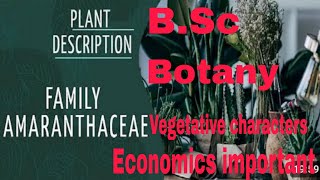 Family Amaranthaceae  Vegetative characters Economic Importance BSc 2 year  Hindi and English [upl. by Yromem496]