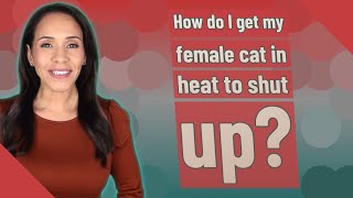 How do I get my female cat in heat to shut up [upl. by Rickie]