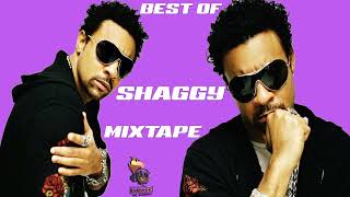 Shaggy Best of Greatest Hits 90s  Early 2000s Mixtape [upl. by Cantu]