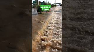 Gollaprolu TOLLGATE FLOOD pithapuram [upl. by Laehcimaj]