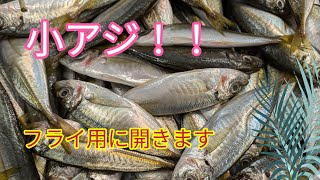 魚の捌き方小アジフライ用捌き方 [upl. by Efar195]