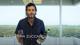 Zuccardi José Malbec 2017 por Sebastián Zuccardi [upl. by Divd]