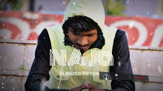 NaJa Slowed Reverb Panjabi Lofi Song [upl. by Dalt]