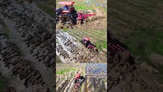 Kubota karanaya  කුබෝටා කරනය agriculture machine sri lanka harvesterkingdom [upl. by Barsky537]