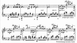 Hamelin plays SchubertLiszt  Ständchen Audio  Sheet music [upl. by Adena]