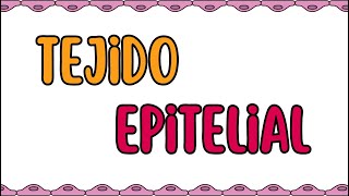 Tejido epitelial [upl. by Bride]