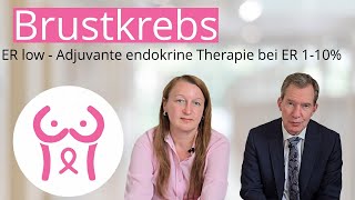 Brustkrebs Antihormontherapie  Adjuvante endokrine Therapie bei ER 110 [upl. by Htidra]