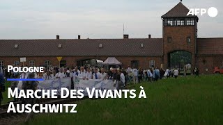 Des milliers de personnes à la marche commémorative de lHolocauste à Auschwitz  AFP [upl. by Gladstone118]