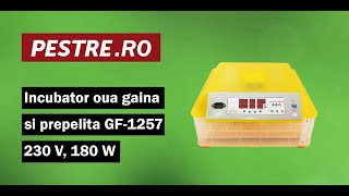 Montaj clocitoare oua gaina si prepelita GF1257 230 V 180 W [upl. by Eichman]