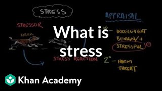 What is stress  Processing the Environment  MCAT  Khan Academy [upl. by Htnamas]