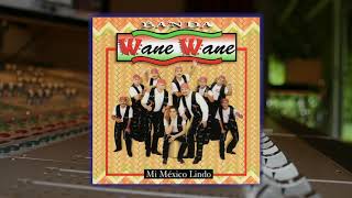 Banda Wane Wane  El Caderazo [upl. by Eddana383]