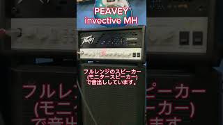 ジェントキッズのマストアイテム 【PEAVEY invective MH】shorts peavey peaveyamps [upl. by Price437]