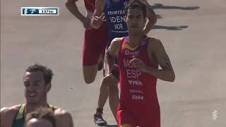 2019 Daman World Triathlon Abu Dhabi  Mens Highlights [upl. by Anasiul]