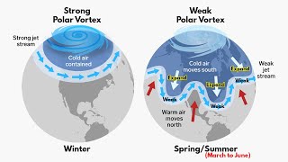 Polar Vortex  How its formed amp When it is dangerous  Indepth Explained [upl. by Hajed]