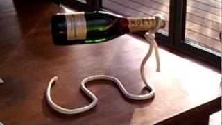 Lasso Wine Bottle Holder [upl. by Laith]