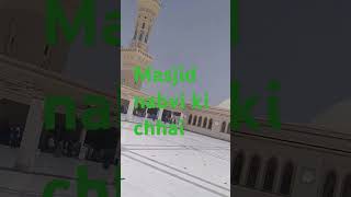 Masjid nabvi Madina Muslim love [upl. by Ave863]