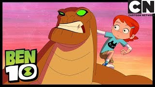 Ben 10  Penny Might Be The Scarecrow  Beware the ScareCrow  Cartoon Network [upl. by Joeann]