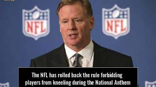 The Pittsburgh Steelers Will Fine ANY Player Kneeling For the Anthem 1 Million [upl. by Rennat628]