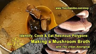 Identify Cook amp Eat the Resinous Polypore Making Mushroom Broth w The UrbanAboriginal [upl. by Callery]