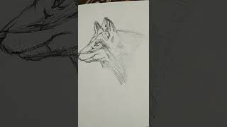 My drawing Fox wild and carnivores animal [upl. by Namra]