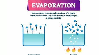 EVAPORATION explained in simple words [upl. by Octavus]