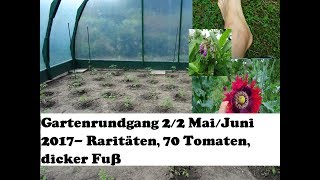 Gartenrundgang 22 Mai Juni Raritäten im Obst und Gemüsegarten [upl. by Zzahc]