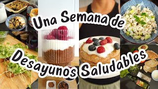 Semana de DESAYUNOS SALUDABLES altos en proteinas [upl. by Cozmo]