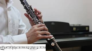 SaintSaëns Clarinet Sonata Op 167  I Allegretto [upl. by Koenraad465]