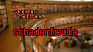 What does schadenfreude mean [upl. by Arjun252]