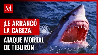 Tiburón blanco arranca la cabeza a hombre que buceaba en bahía de Tobari Sonora [upl. by Asserac]