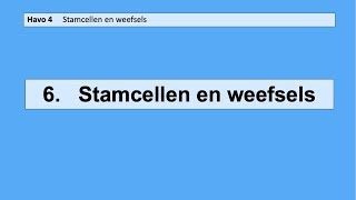 6 Stamcellen en weefsels [upl. by Ecarret]