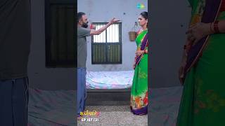 Malli Serial Shorts  Ep 187  3  Nikitha  Vijay  Saregama TV Shows Tamil shorts ytshorts [upl. by Amleht]