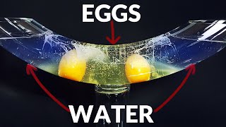 What if you left eggs in water [upl. by Nordek]