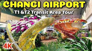 Worlds Best Changi Airport Exploring Terminal 1 amp 2 Transit Areas [upl. by Ahtael]