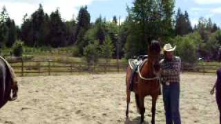 How to Make a Halter Work as a Hackamore [upl. by Gnuhn722]