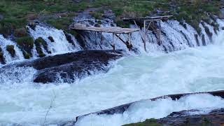 Sherars Falls Deshutes River Maupin Oregon Warm Springs Indian Reservation Land Native Fishing [upl. by Mullane510]