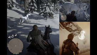 Red Dead Redemption 2 Free Arabian white horse location RDR2 [upl. by Kermie]