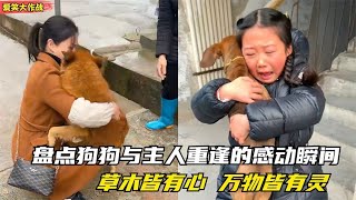 盤點狗狗與主人重逢的淚目瞬間，主人失而復得，一人一狗相擁而泣 [upl. by Arremat]