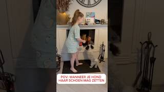 POV WANNEER JE HOND HAAR SCHOEN MAG ZETTEN [upl. by Rossen564]