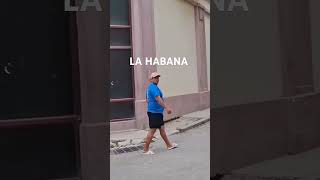 QUE HAY EN LA HABANA travel turismo tour cuba shortvideo [upl. by Furgeson]