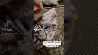 Best Cat Litter 2024 We Love ODOURLOCK catlover catshortsvideos shorts [upl. by Eden535]