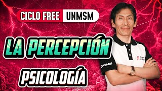 La percepción 🧠 Psicología CICLO FREE [upl. by Shana]