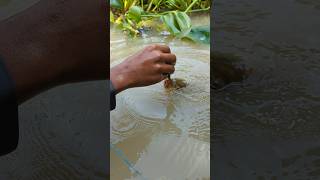 Unique Fishing hand Fishing Challenge Video 😲fishingshortsviralshort [upl. by Tadeas]