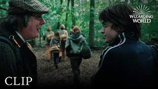 Amos and Cedric Diggory  Harry Potter and the Goblet of Fire [upl. by Lillian884]