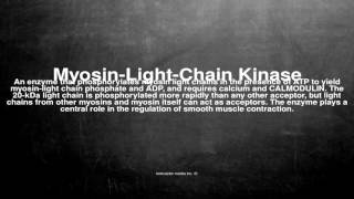 Medical vocabulary What does MyosinLightChain Kinase mean [upl. by Yerot899]