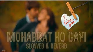 MOHABBAT HO GAYI  SLOWED amp REVERB [upl. by Haldane]