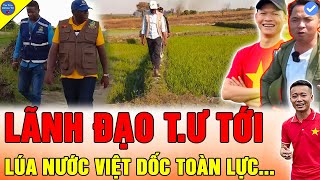 🔴CHÍNH THỨC LÃNH ĐẠO TỈNH TIẾP SỨC Team Quang Linh Vlog MẠNH MẼ PHỔ BIẾN TRỒNG LÚA NƯỚC TẠI CHÂU PHI [upl. by Eachern118]