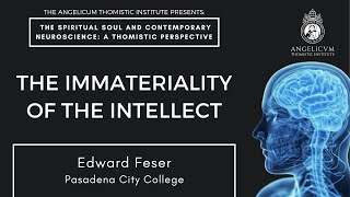 The Immateriality of the Intellect  Edward Feser [upl. by Enelie234]