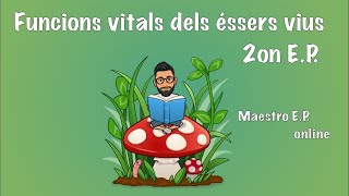 FUNCIONS VITALS del ÉSSERS VIUS  Per a XIQUETS de SEGON de PRIMÀRIA  2on EP  CCNN 31 [upl. by Annaiek]